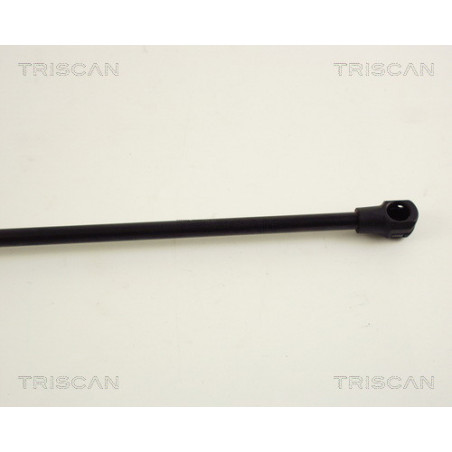 Vérin de coffre / hayon TRISCAN