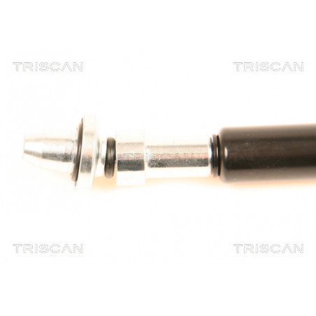 Vérin de vitre arrière TRISCAN