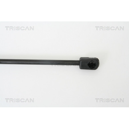 Vérin de coffre / hayon TRISCAN