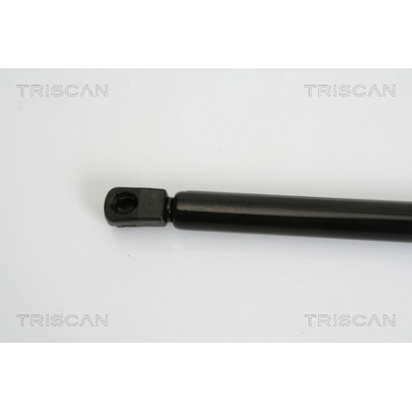 Vérin de coffre / hayon TRISCAN