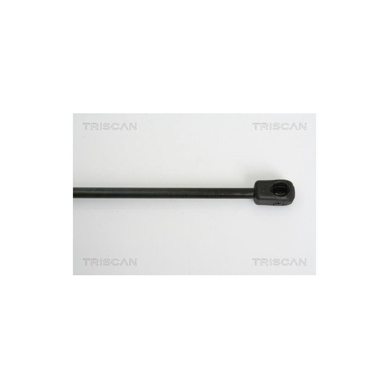 Vérin de coffre / hayon TRISCAN