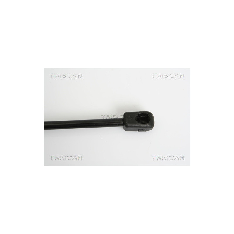 Vérin de coffre / hayon TRISCAN