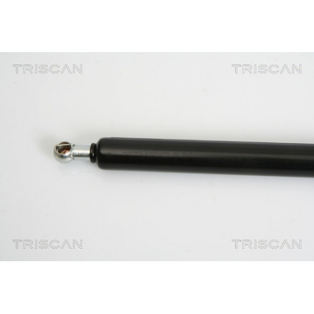 Vérin de coffre / hayon TRISCAN