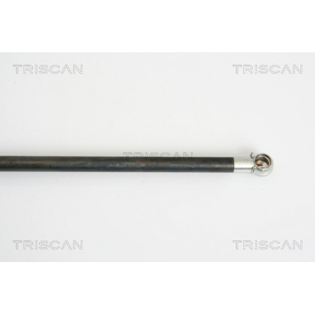 Vérin de coffre / hayon TRISCAN