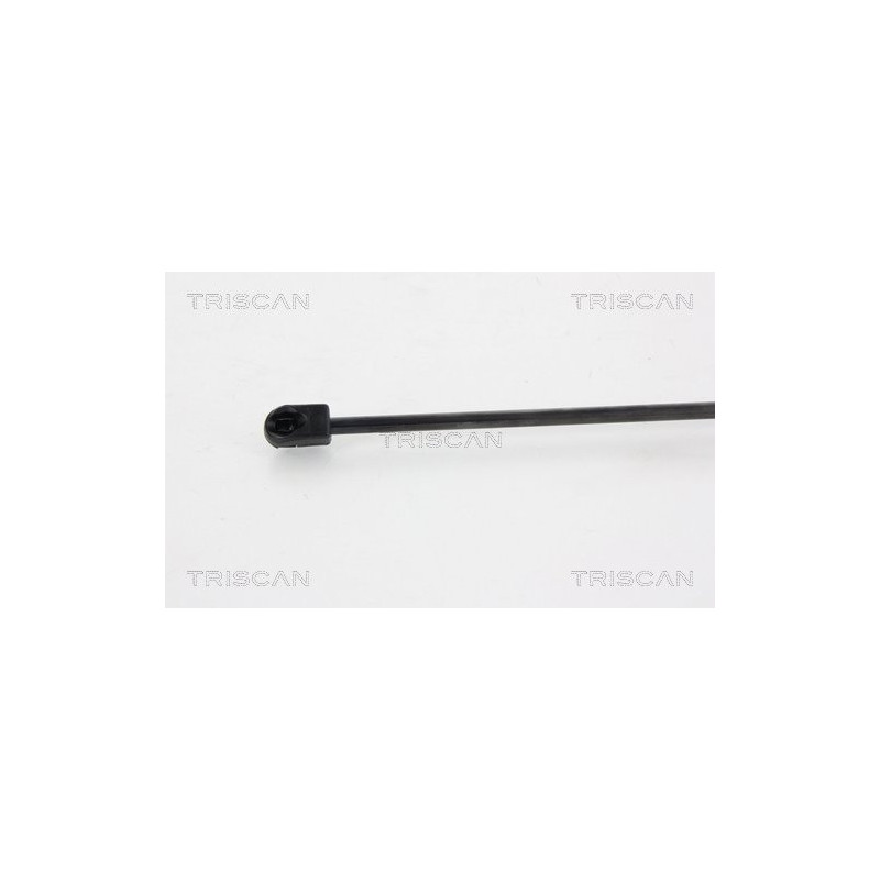 Vérin de coffre / hayon TRISCAN