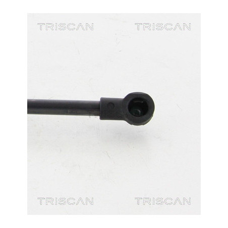 Vérin de coffre / hayon TRISCAN