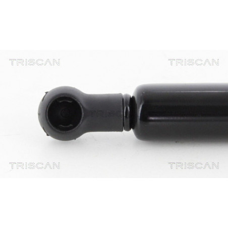 Vérin de coffre / hayon TRISCAN