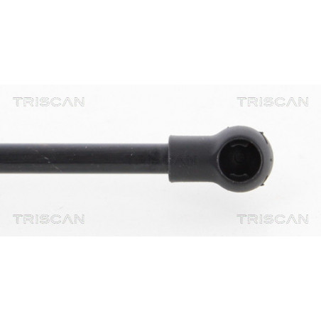 Vérin de coffre / hayon TRISCAN