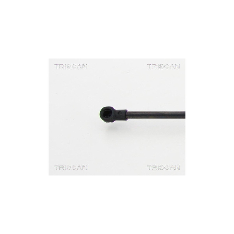 Vérin de vitre arrière TRISCAN