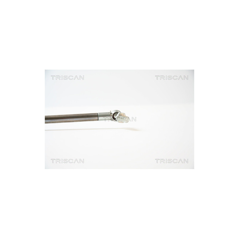 Vérin de coffre / hayon TRISCAN