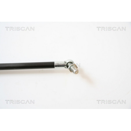 Vérin de coffre / hayon TRISCAN