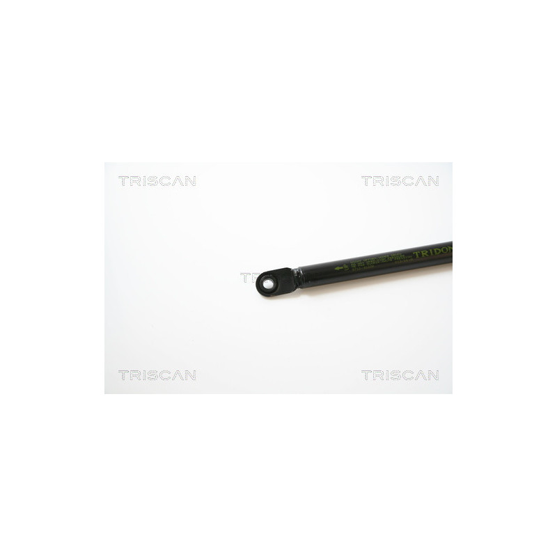 Vérin de coffre / hayon TRISCAN
