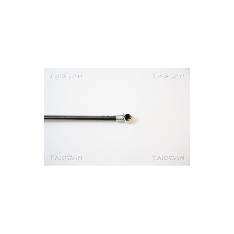 Vérin de coffre / hayon TRISCAN