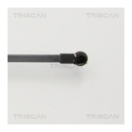 Vérin de coffre / hayon TRISCAN