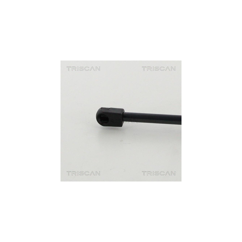 Vérin de coffre / hayon TRISCAN