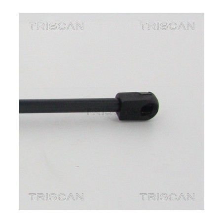 Vérin de coffre / hayon TRISCAN