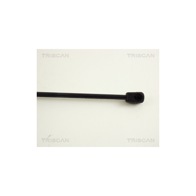 Vérin de coffre / hayon TRISCAN