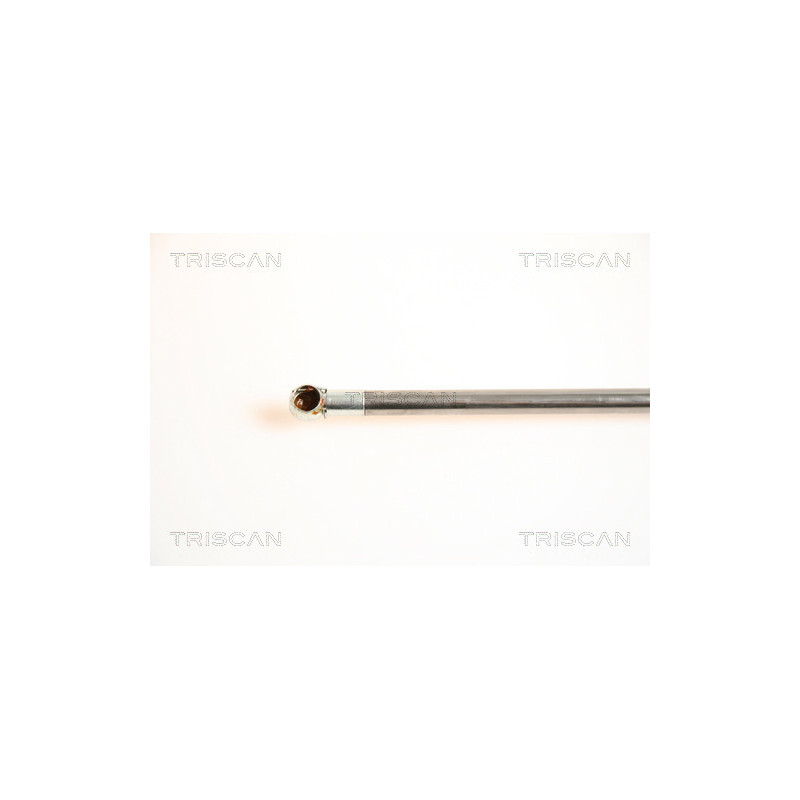 Vérin de coffre / hayon TRISCAN