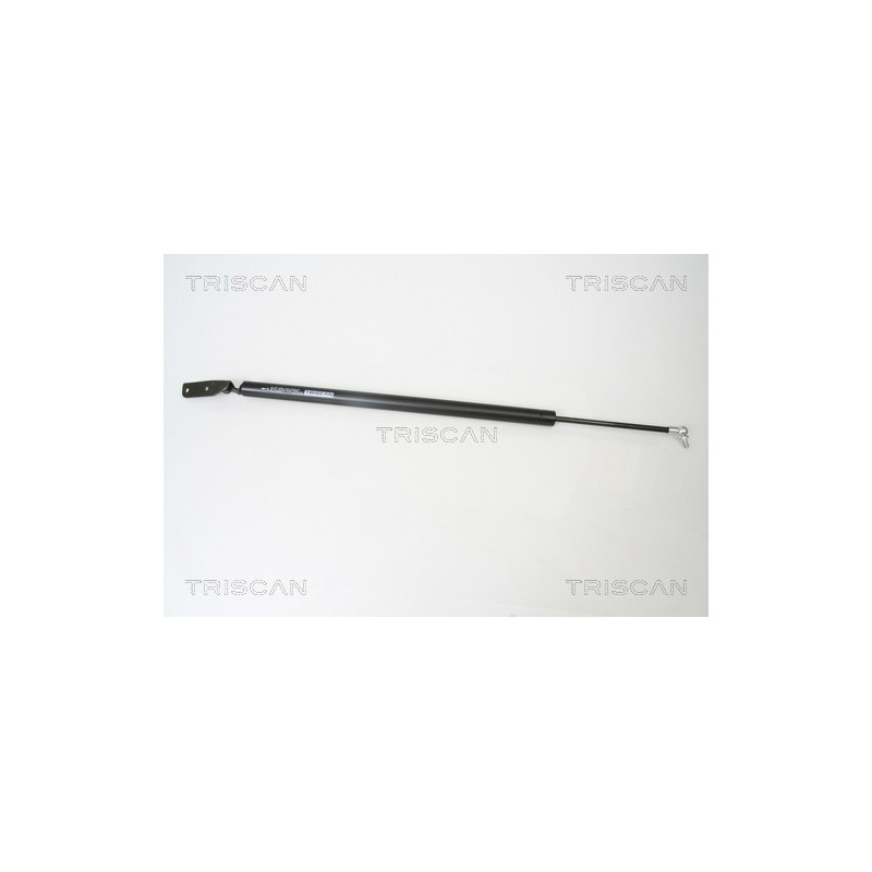 Vérin de coffre / hayon TRISCAN