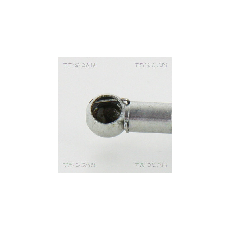 Vérin de coffre / hayon TRISCAN