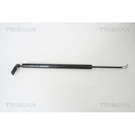 Vérin de coffre / hayon...