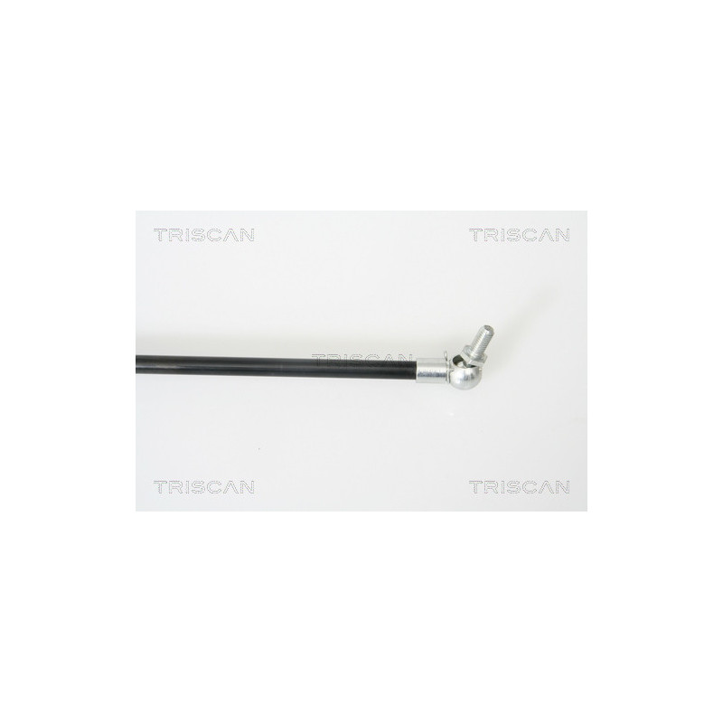 Vérin de coffre / hayon TRISCAN