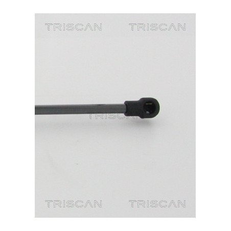 Vérin de coffre / hayon TRISCAN