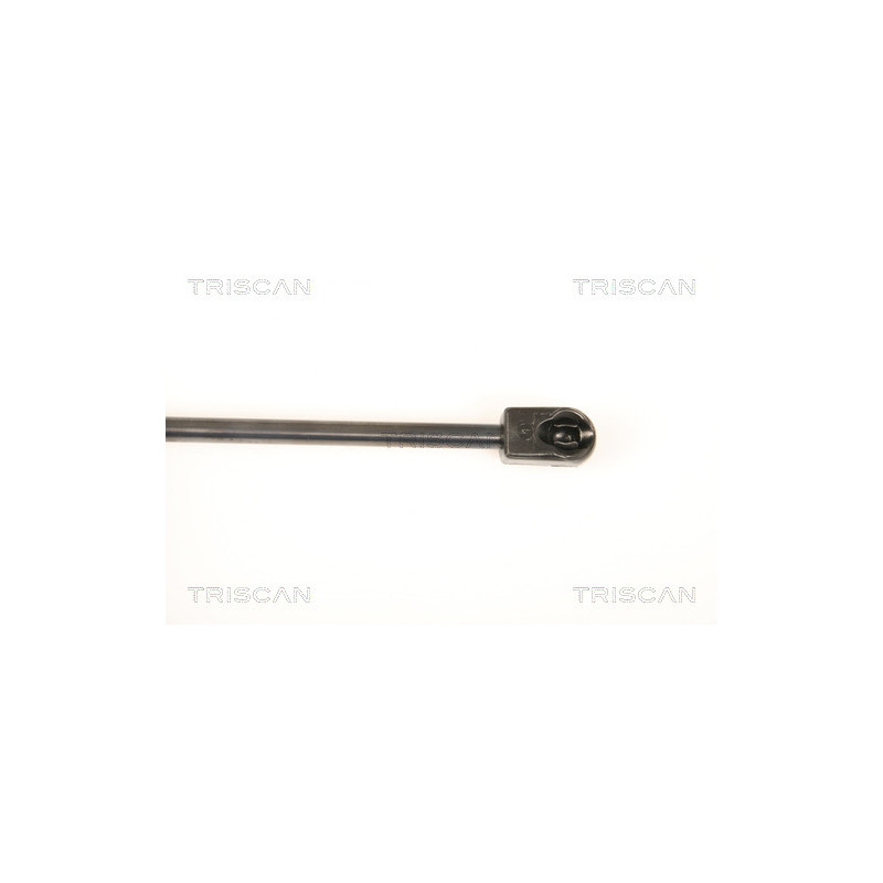 Vérin de capot TRISCAN