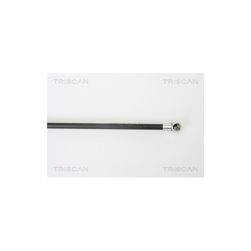 Vérin de coffre / hayon TRISCAN