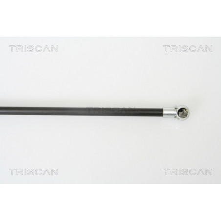 Vérin de coffre / hayon TRISCAN