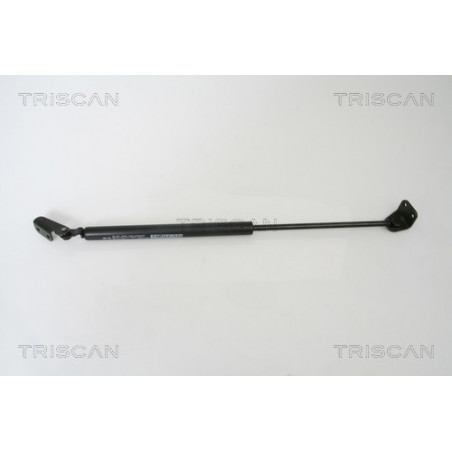 Vérin de coffre / hayon TRISCAN