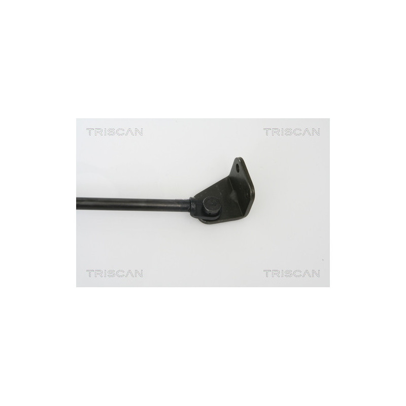 Vérin de coffre / hayon TRISCAN