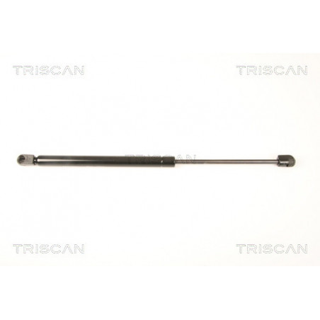 Vérin de vitre arrière TRISCAN