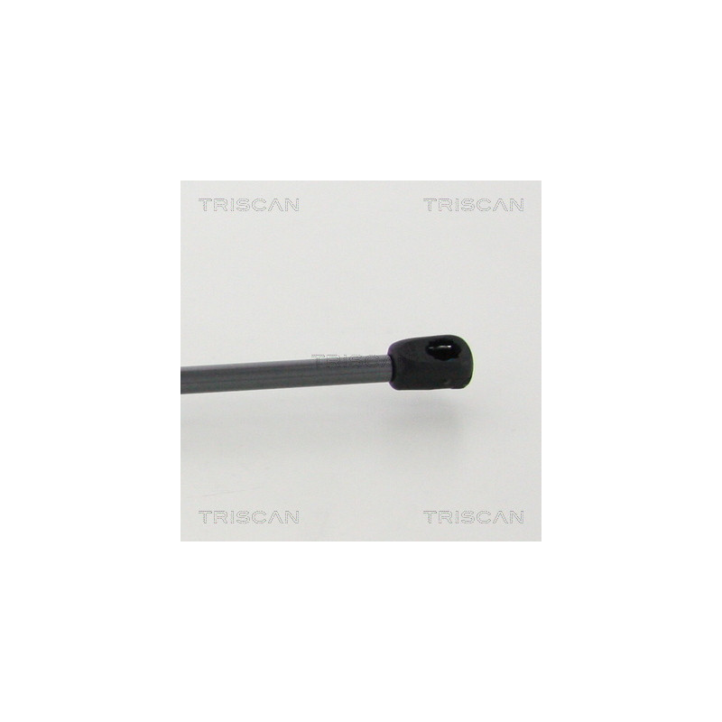 Vérin de coffre / hayon TRISCAN