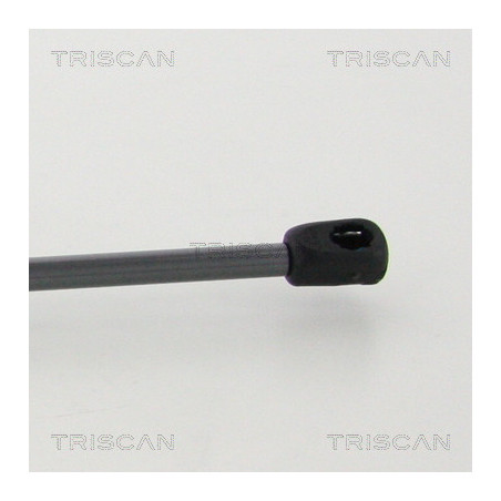 Vérin de coffre / hayon TRISCAN