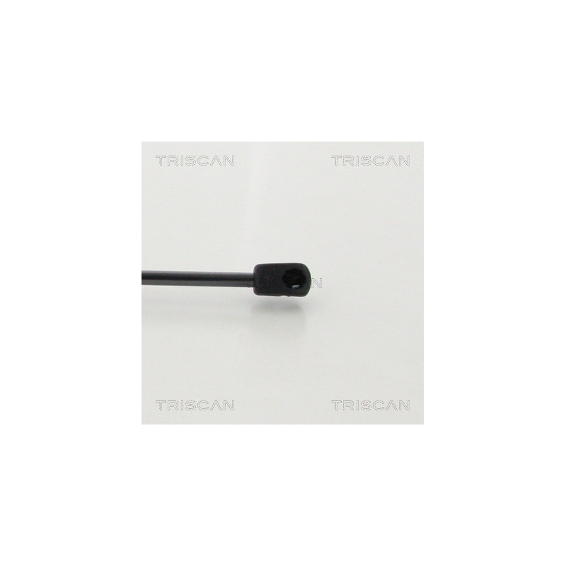 Vérin de coffre / hayon TRISCAN