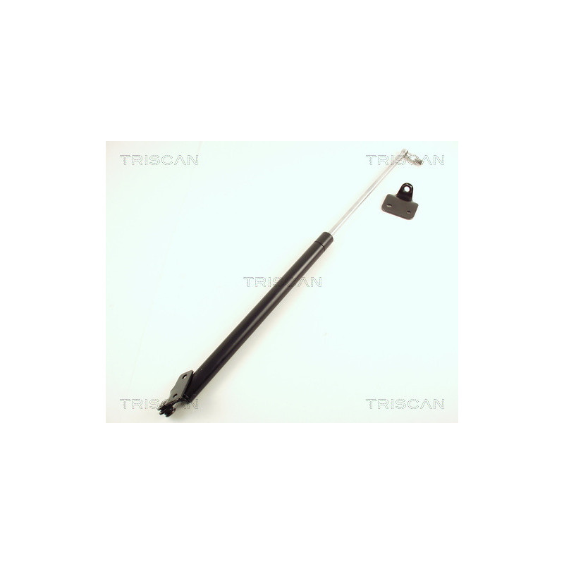Vérin de coffre / hayon TRISCAN
