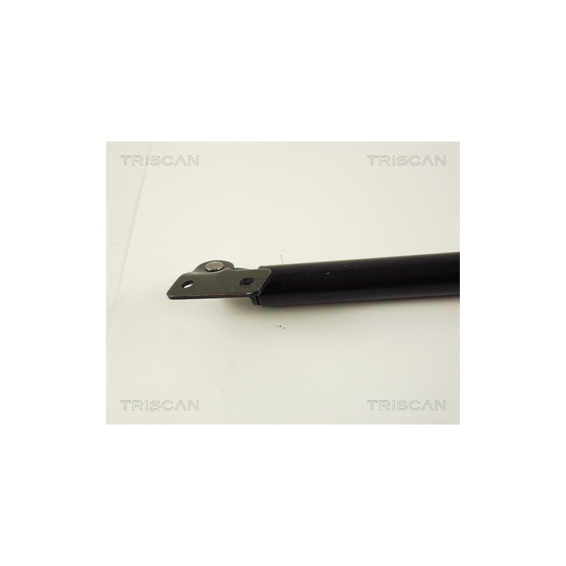 Vérin de coffre / hayon TRISCAN