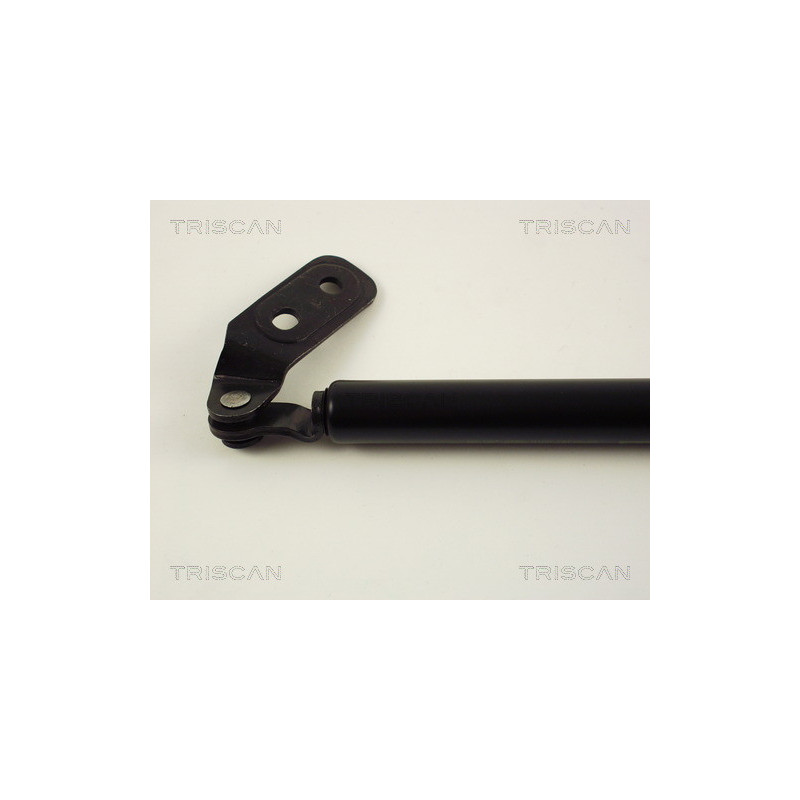 Vérin de coffre / hayon TRISCAN