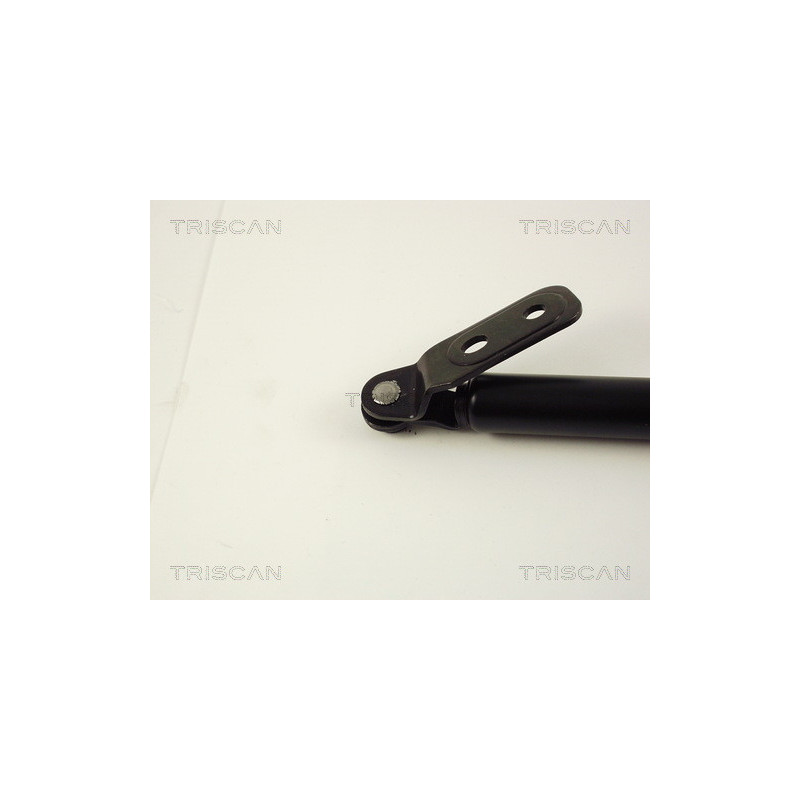 Vérin de coffre / hayon TRISCAN