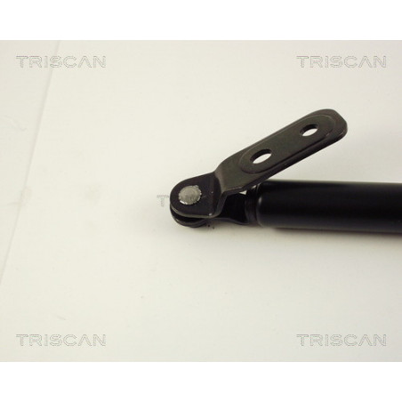 Vérin de coffre / hayon TRISCAN