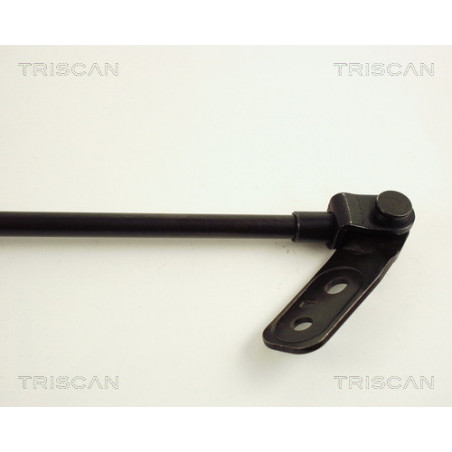 Vérin de coffre / hayon TRISCAN