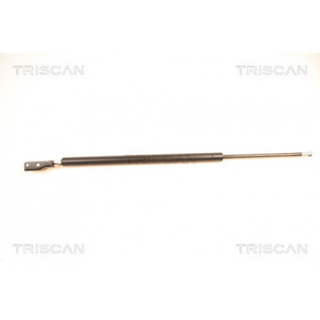 Vérin de coffre / hayon...