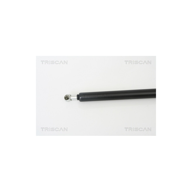 Vérin de coffre / hayon TRISCAN