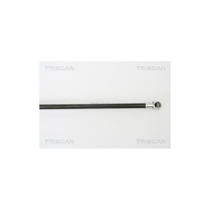Vérin de coffre / hayon TRISCAN