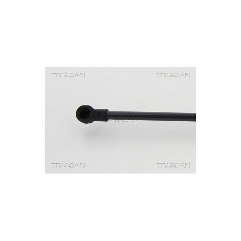 Vérin de coffre / hayon TRISCAN