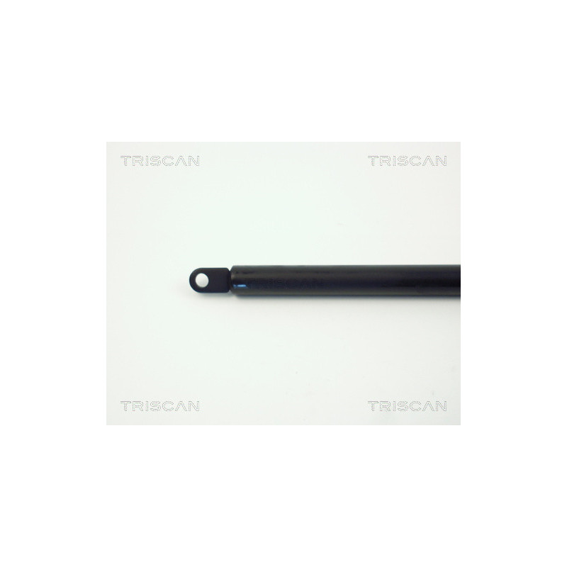 Vérin de coffre / hayon TRISCAN