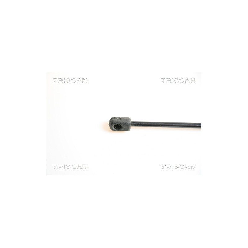 Vérin de capot TRISCAN