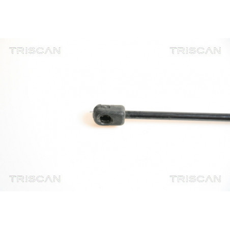 Vérin de capot TRISCAN