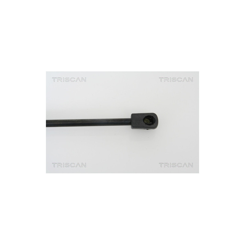 Vérin de capot TRISCAN